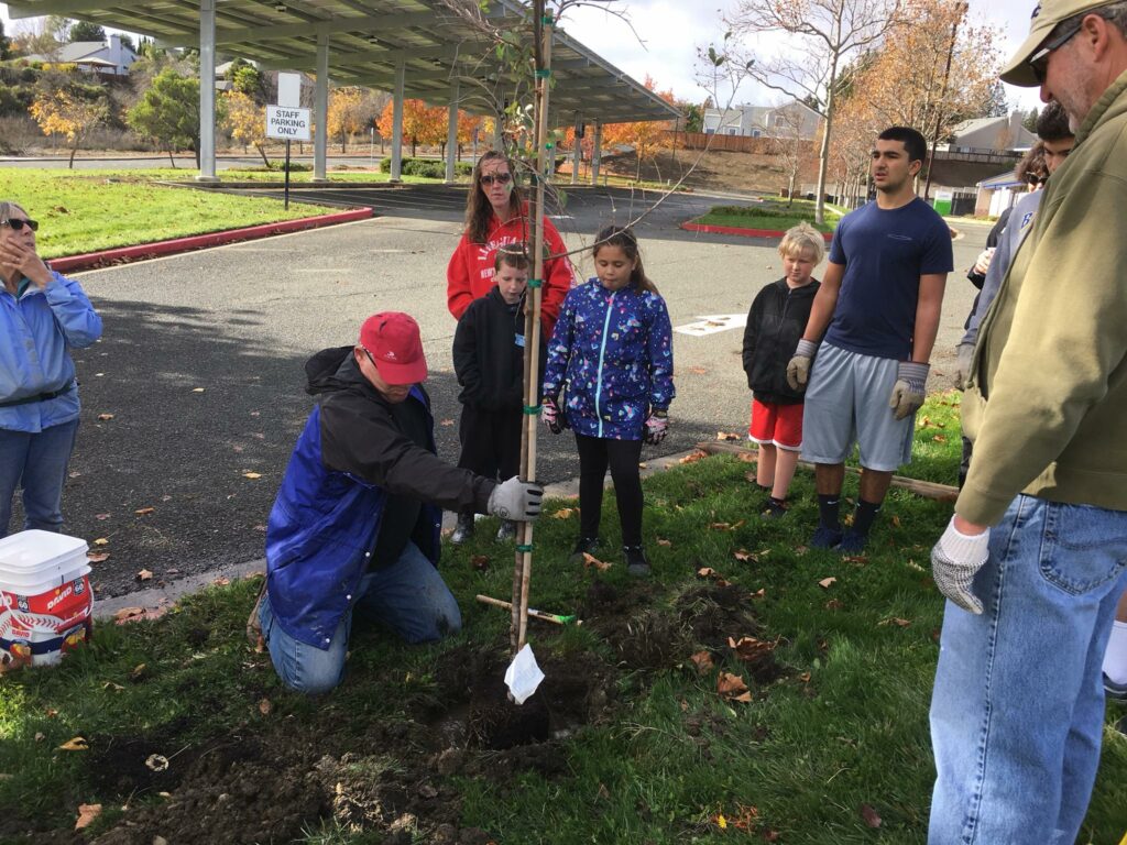 Matthew Turner Elementary School – Benicia Tree Foundation