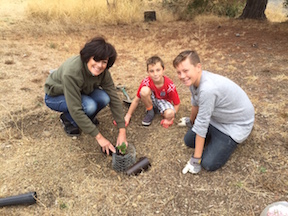 Tree Planting Continues at Benicia State Recreation Area