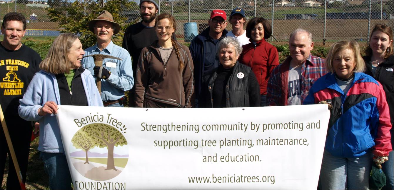 Tree planting at the High School