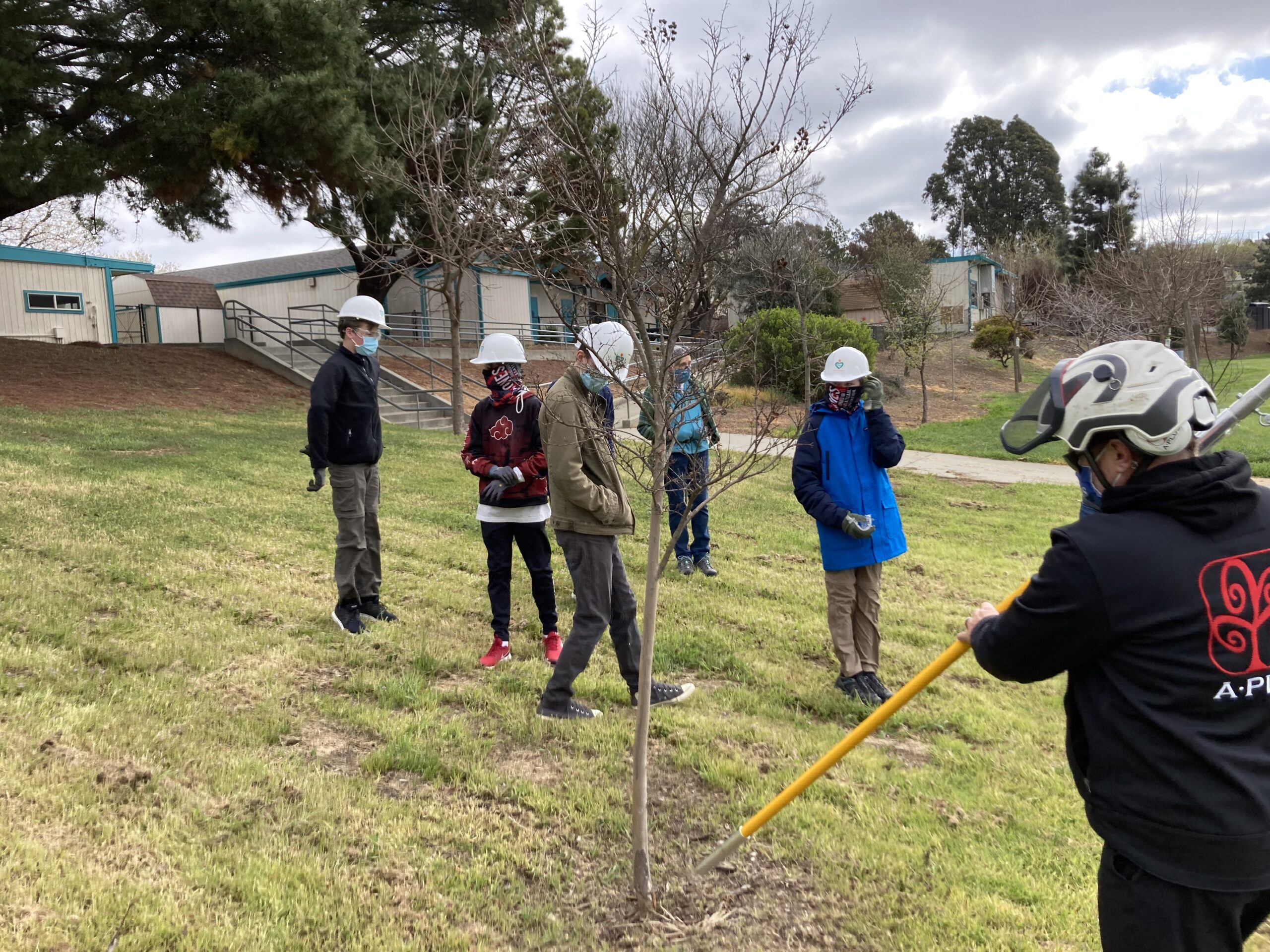 Peter Green, arborist with A-Plus Tree Service, points to a wound at the base of a Crepe Myrtle tree likely caused by the careless use of a weed wacker.