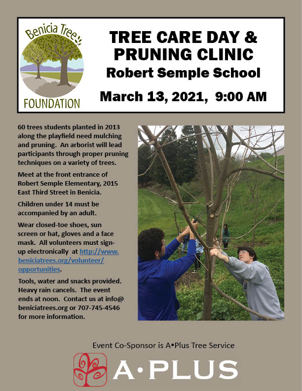 Pruning Clinic & Tree Care Day Scheduled