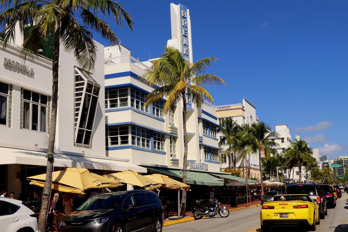 Miami Beach Replacing Palms with Shade Trees