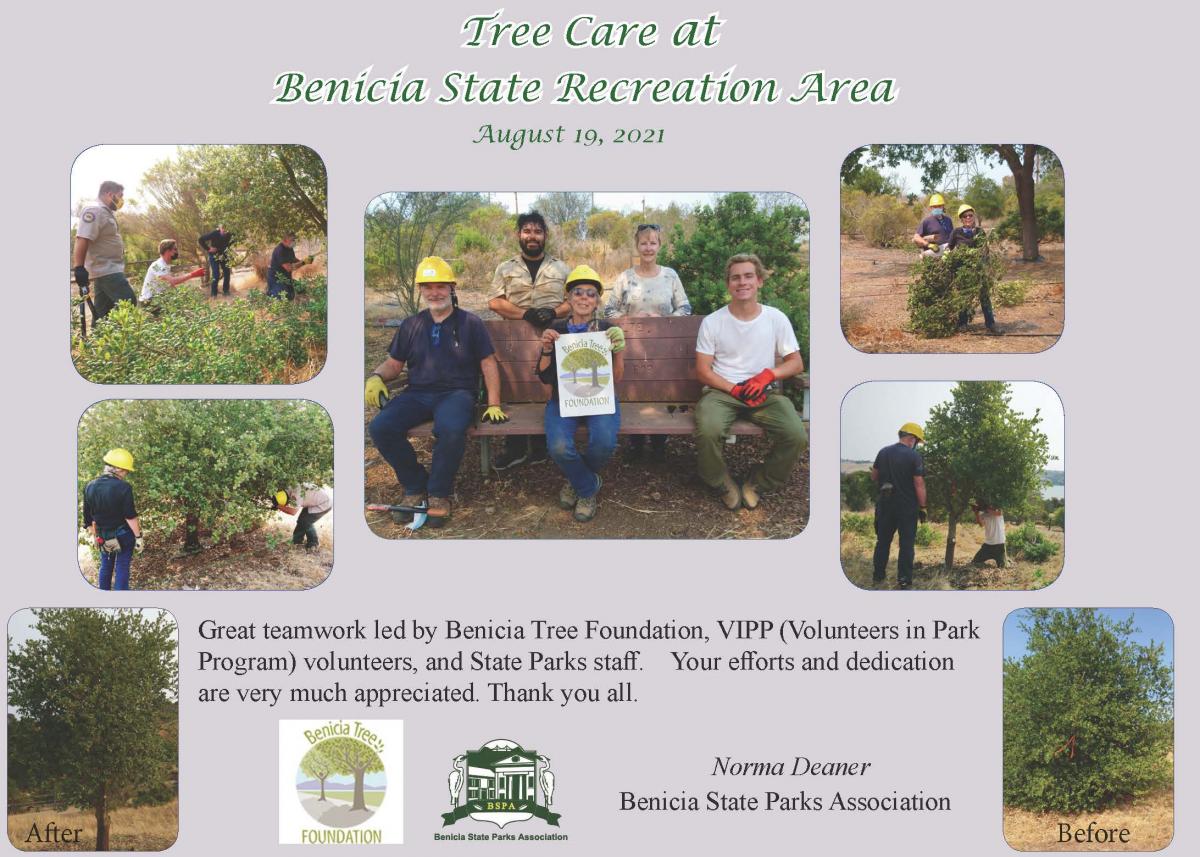 August Tree Care Day at BSRA