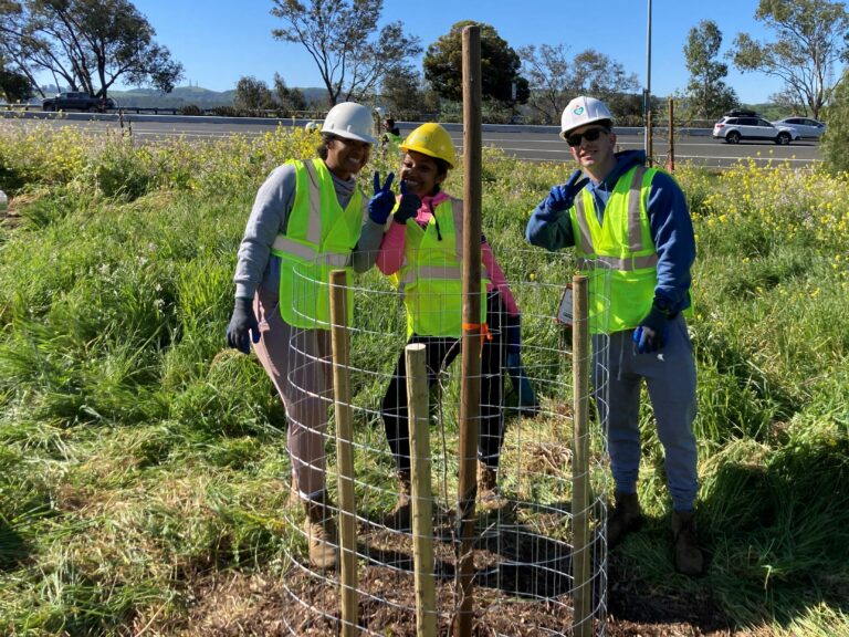 Benicia Tree Foundation