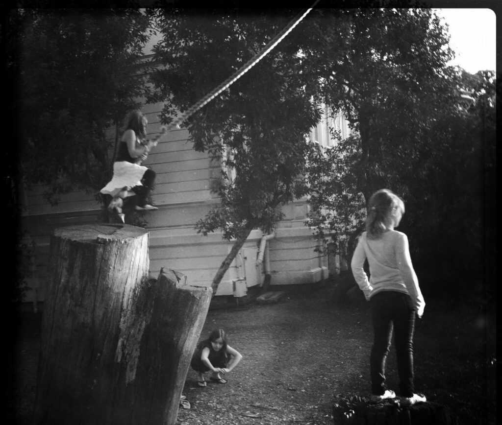 Can Your Tree Hold a Rope Swing? Benicia Tree Foundation