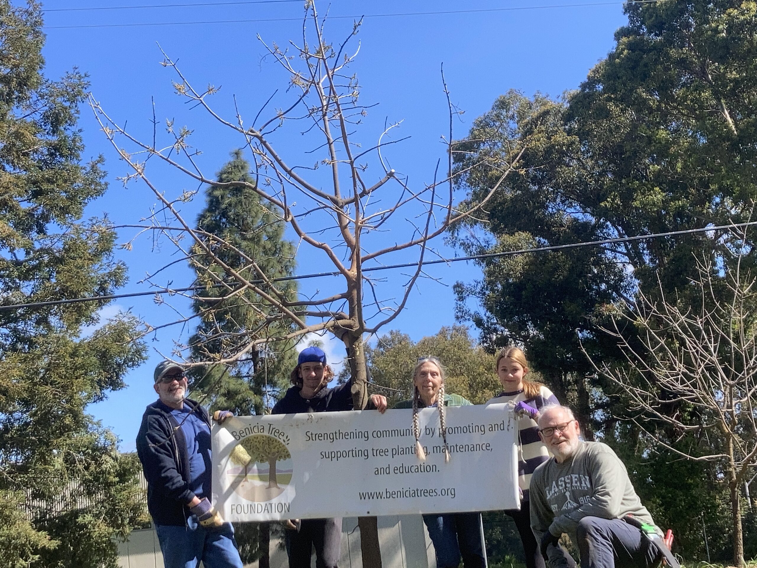 April Fools Tree Care Day at Benicia Armory