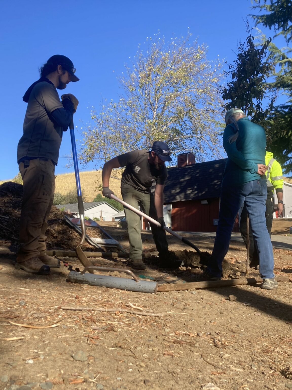 25 New Trees for Southampton Park – Benicia Tree Foundation