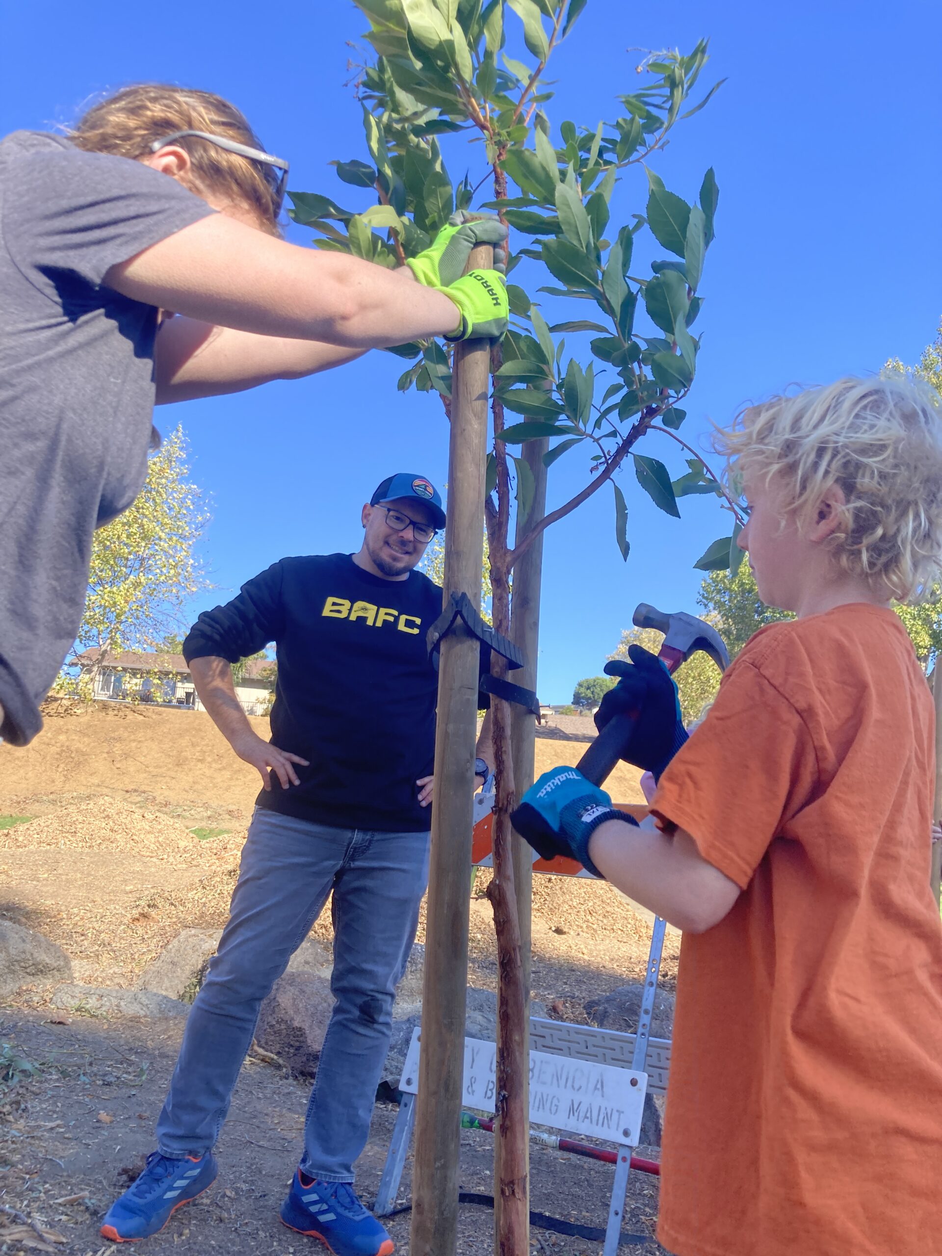 25 New Trees for Southampton Park – Benicia Tree Foundation