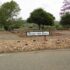 Soroptimist Grove at Benicia Community park