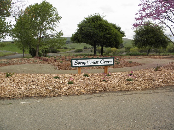 Soroptimist Grove at Benicia Community park