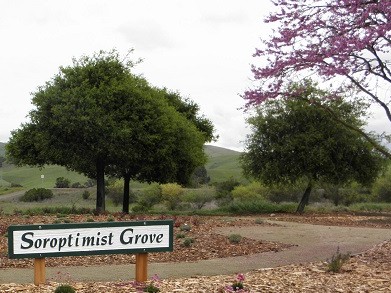 Soroptimist Grove Soroptimist Grove