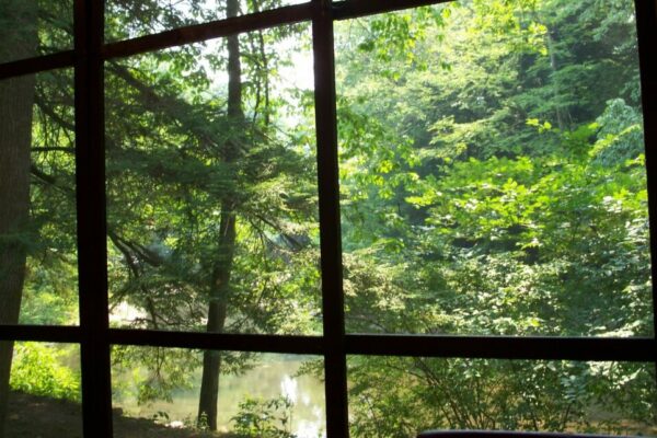 nature_window_CCby20_lady_lbrty