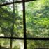 nature_window_CCby20_lady_lbrty