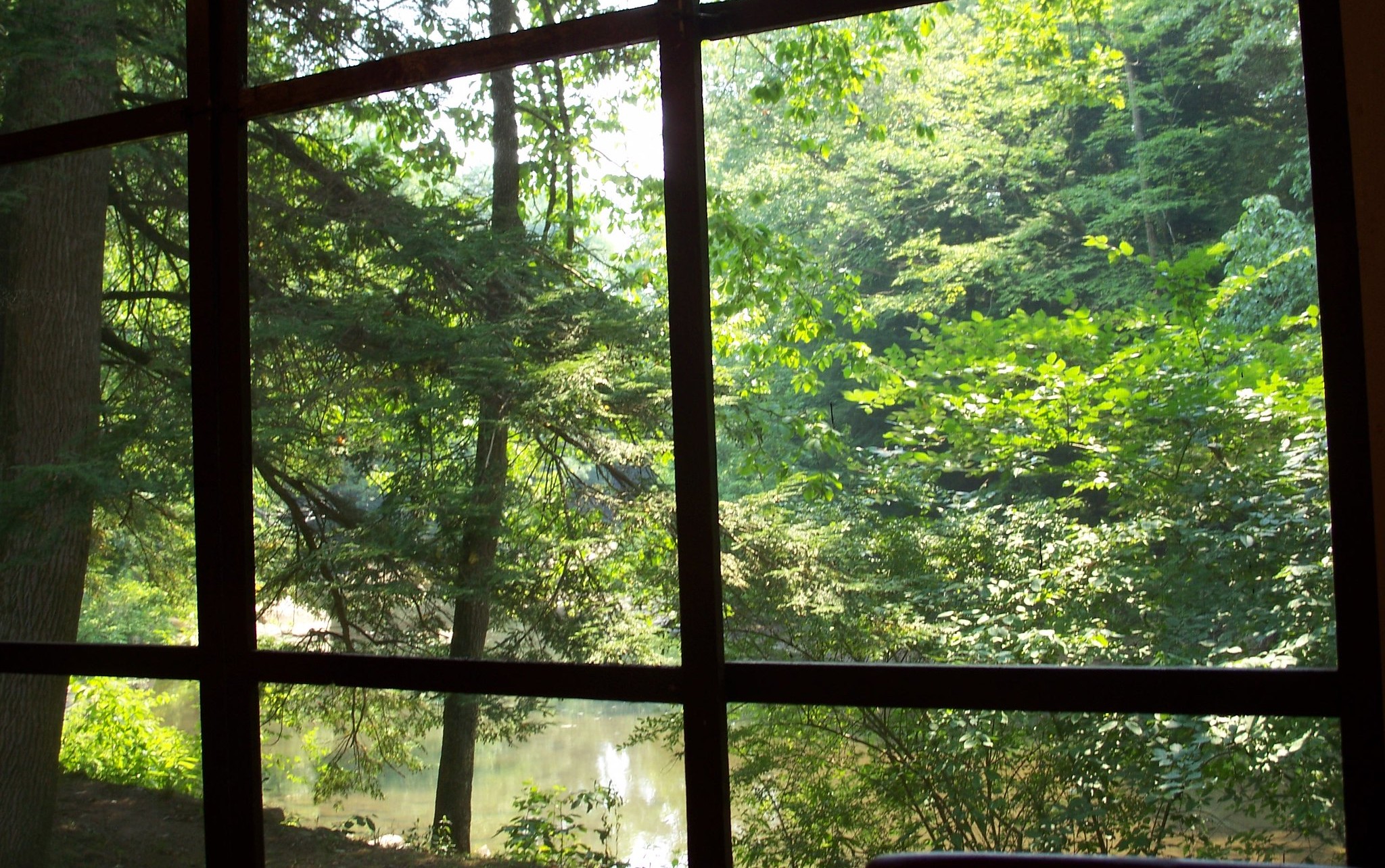 nature_window_CCby20_lady_lbrty