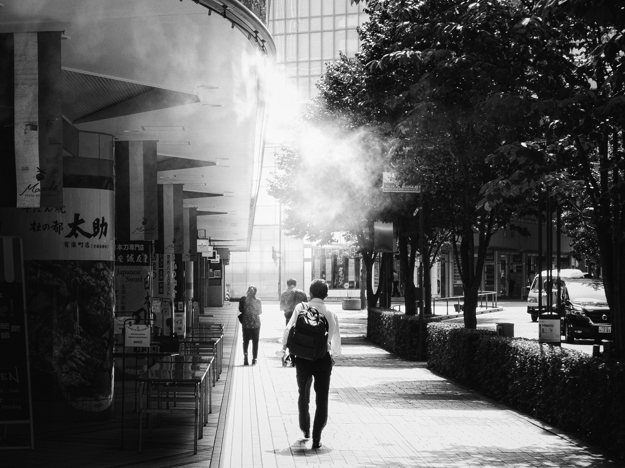 Shade Trees are Essential Infrastructure, Not Decoration